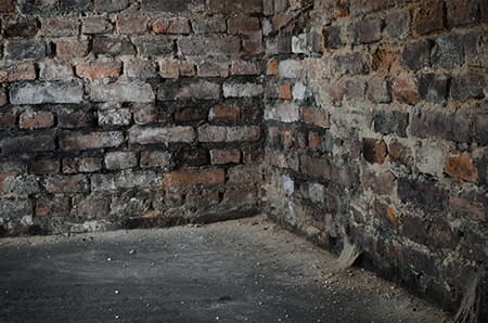 Damp Cellar Brickwork